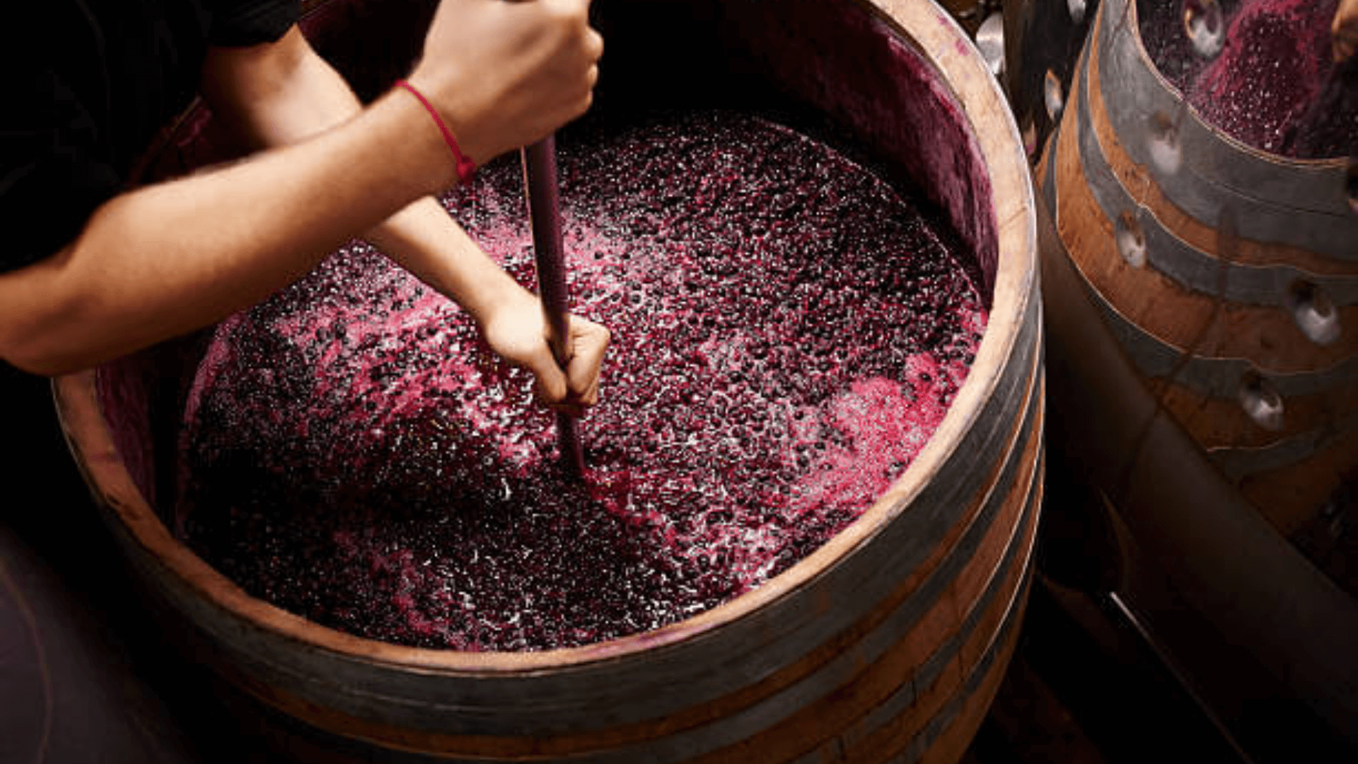 Winemaking In New Jersey Custom Winemaking NJ