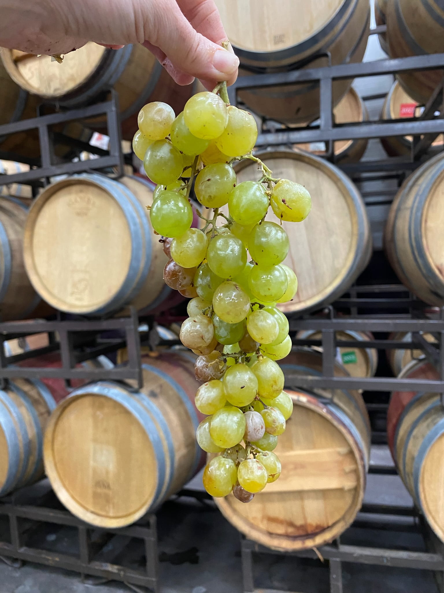 Make Wine With Us slide 1