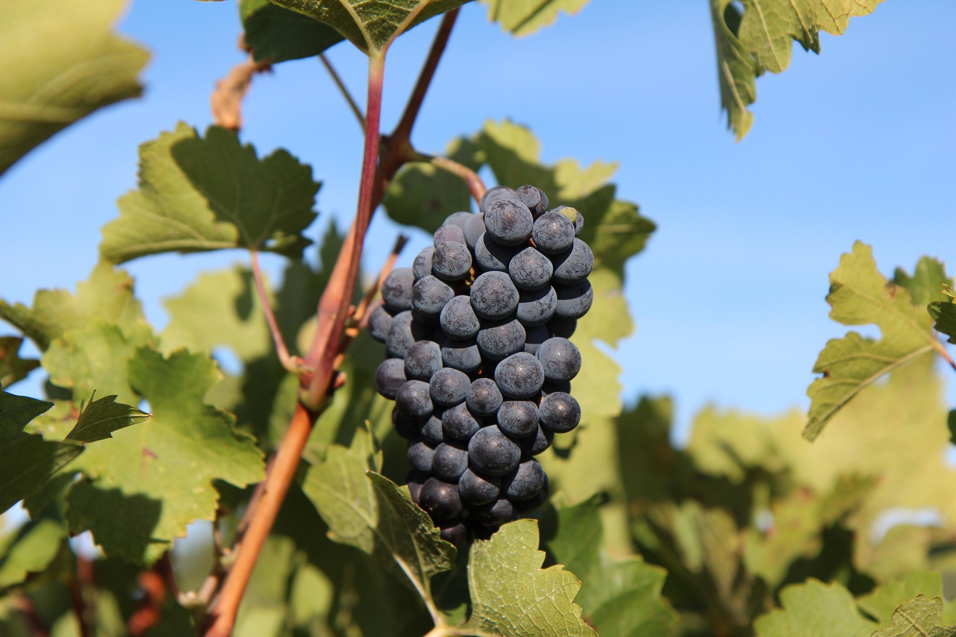 {!!@$headlines->page_title!!}