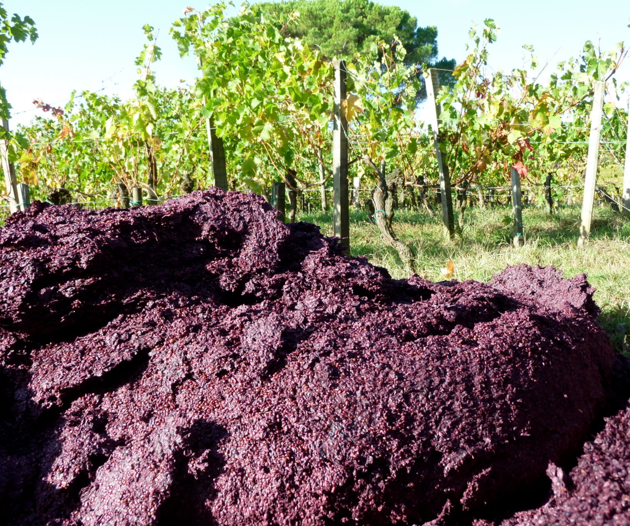 {!!@$headlines->page_title!!}